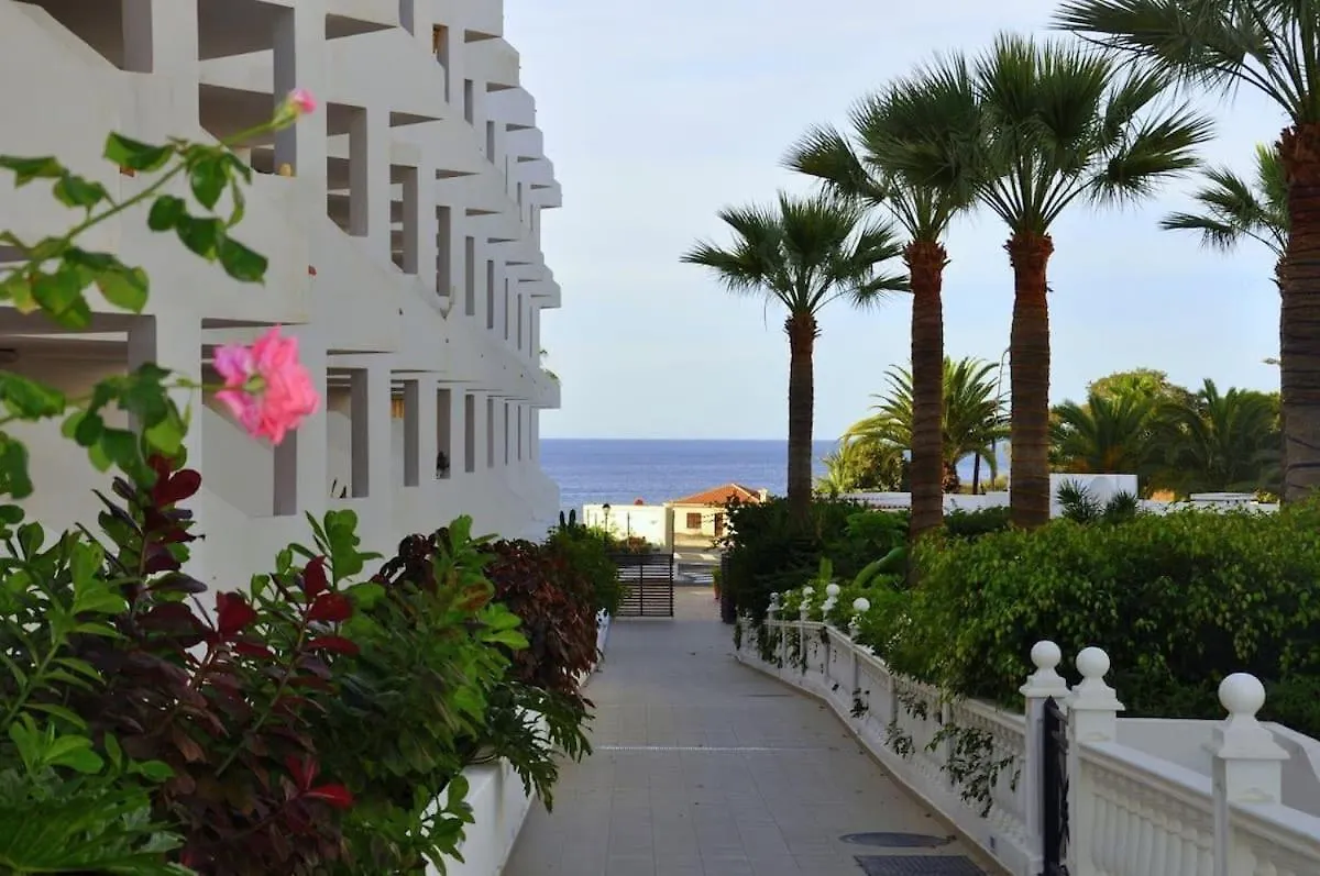 Loscristianos Front Line Of Ocean Wifi Los Cristianos